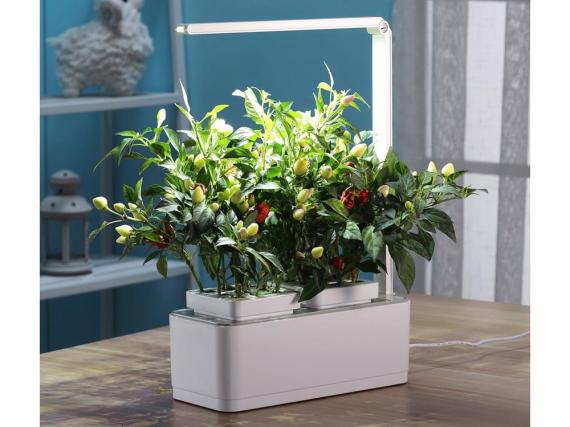 Компактный смарт-сад «iGarden LED» с подсветкой