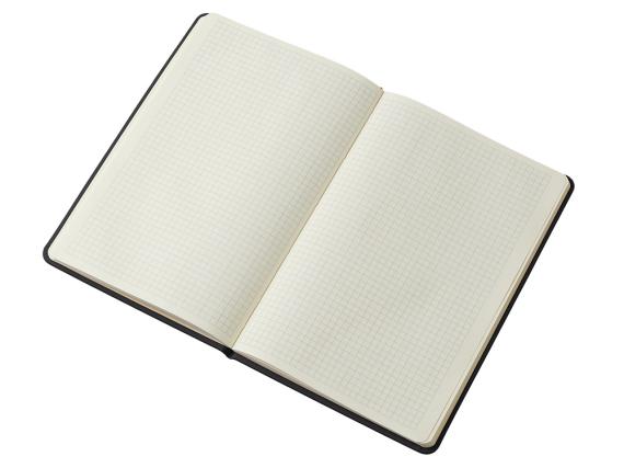 Блокнот в твердой обложке A5 «Виспи» в клетку