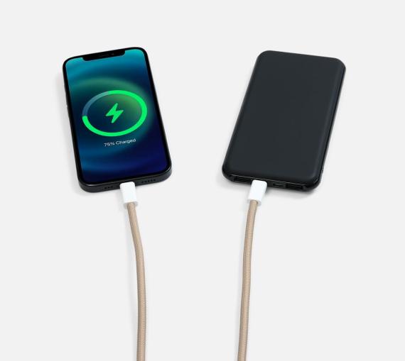 Кабель-ланьярд energyFlex Pro, серый